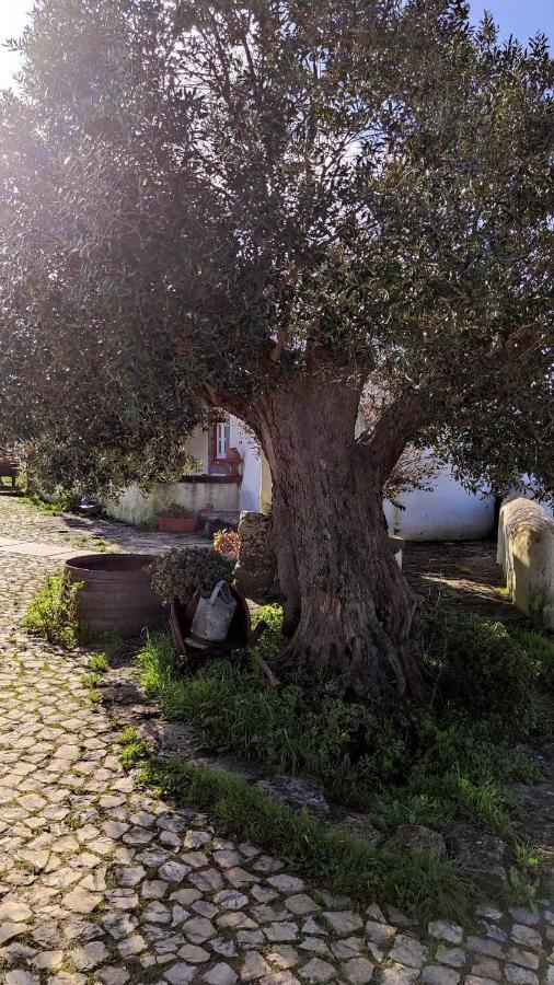 Ancos Little House -Sintra Countryside- Villa Montelavar Ngoại thất bức ảnh